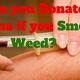 medium_Can_you_donate_plasma_if_you_smoke_weed