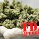 large_FDA_Approval_for_Marijuana-1170x500