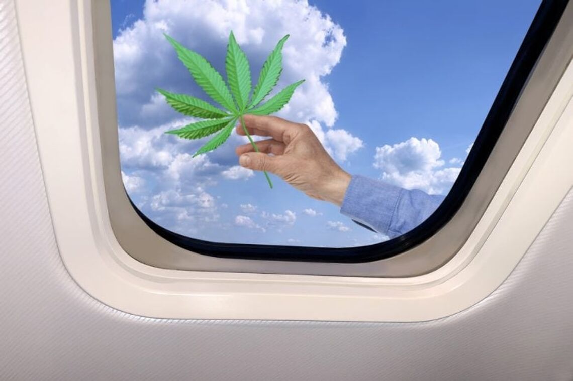 hand-holding-medical-marijuana-in-a-plane-window-q5xt0h1atagh5uv51mxoc8h995hn6ctl8mexsj16j8