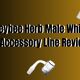 Honeybee Herb Male Whirlwind Accessory Line Review Cover Photo