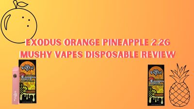 Exodus Orange Pineapple 2.2G Mushy Vapes Disposable Review cover photo