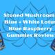 Stoned Mushrooms Blue + White Lotus Blue Raspberry Gummies Review cover photo