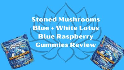 Stoned Mushrooms Blue + White Lotus Blue Raspberry Gummies Review cover photo
