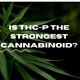 is thc-p the strongest cannabinoid? Cover photo