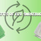 Benefits Of Eco Smokebuddies cover photo
