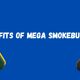 Benefits of Mega Smokebuddies cover photo