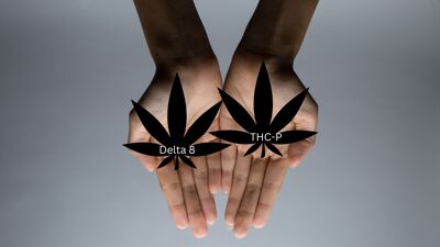 Delta 8 Vs THC-P Cover Photo