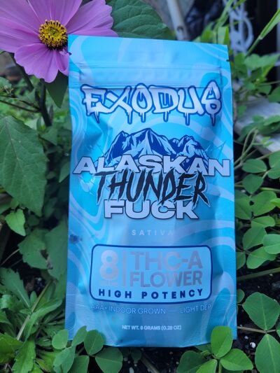 alaskan thunder fuck thca flower review by exodus