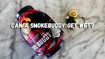 Can A Smokebuddy Get Wet cover photo