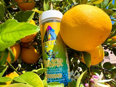 delta extrax blue razz lemonade gummies review cover photo