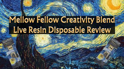 Mellow Fellow Creativity Blend Live Resin Disposable Review