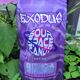 exodus sour space candy review cover photo