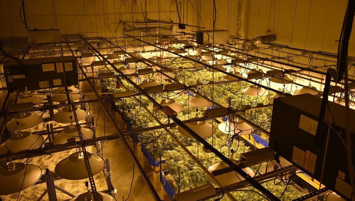 indoor weed production