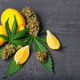 lemons and cannabis