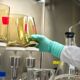 can labs detect synthetic urine 2021