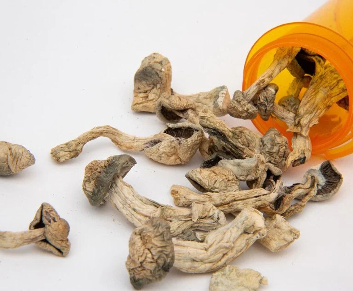 Are Shrooms Legal In The US