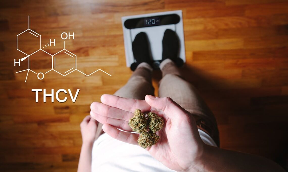 what-is-thcv-and-what-are-the-benefits-of-this-cannabinoid