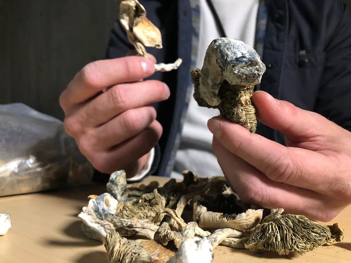 Can Shrooms Help With My Anxiety?