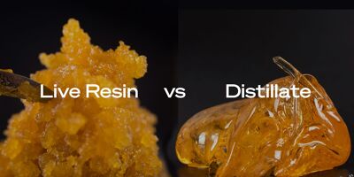 What Is The Difference Between Live Resin And Distillate Cartridge?